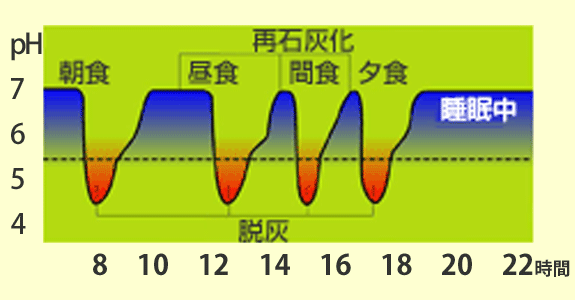 食事、間食によるプラークpHの変動