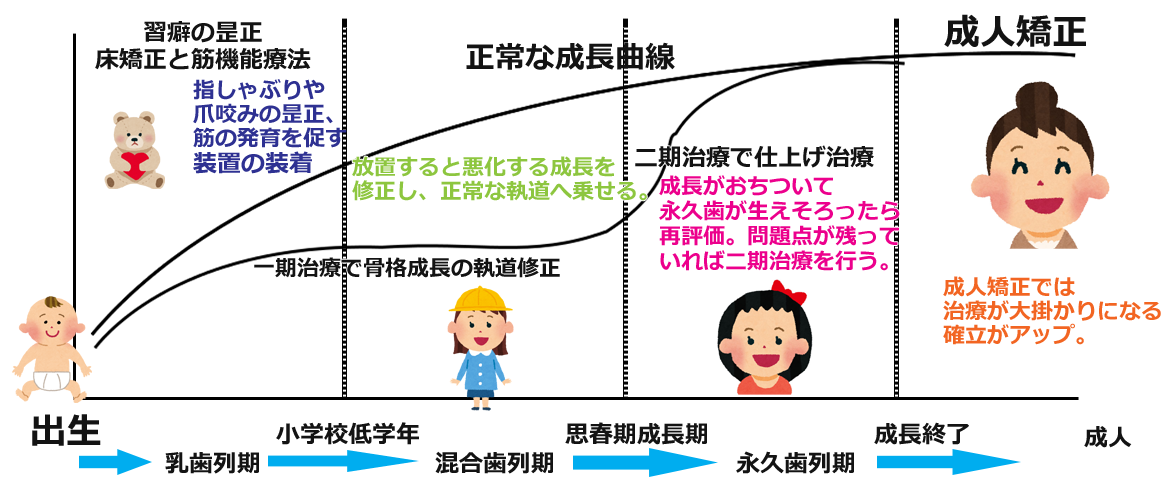 成人矯正の位置づけについて