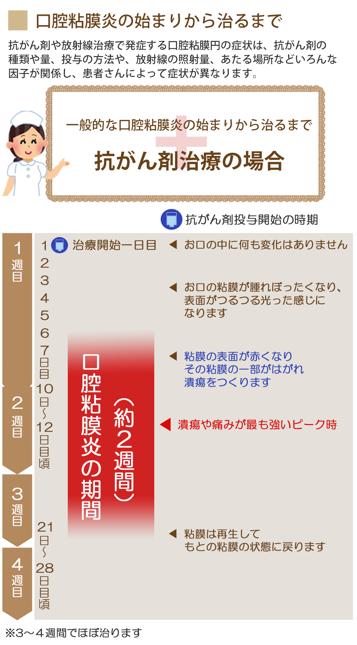 口腔粘膜炎の始まりから治るまで